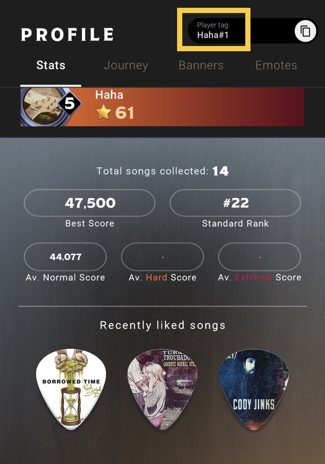 countrystar-tag1.jpg